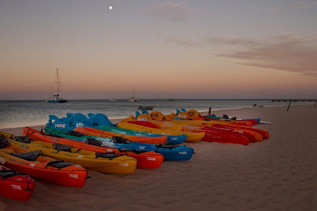 061 Shark Bay, monkey mia.jpg
